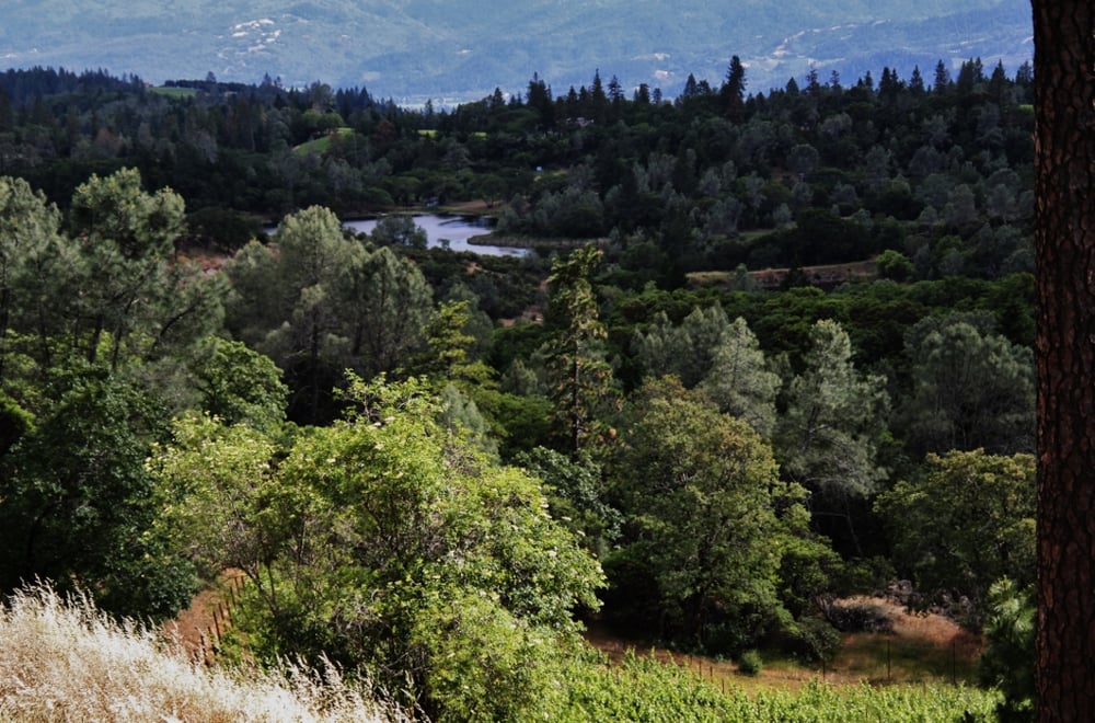 Outpost Wines 40 Photos Wineries Angwin, CA Reviews Yelp