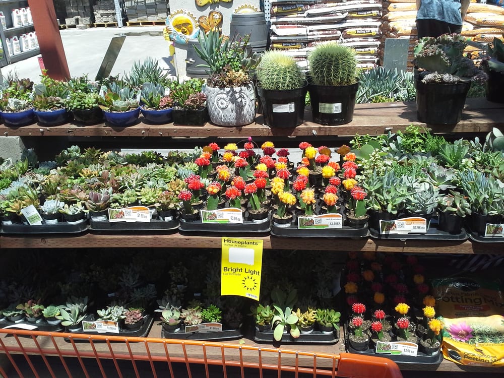 The Home Depot 73 Photos Nurseries & Gardening 21787 Hesperian