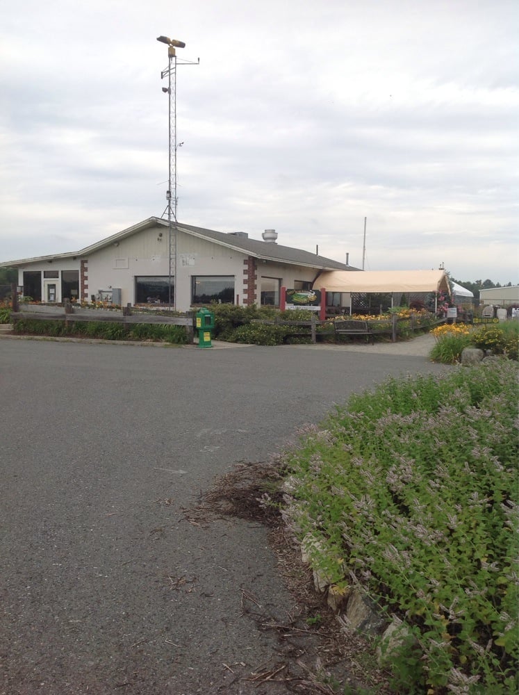 Nancy S Air Field Cafe Stow Ma Nancy S Air Field Cafe Stow Ma