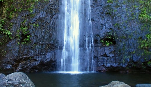 Manoa Falls