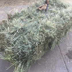 Dave's Hay Barn San Jose - San Jose, CA, United States. This big bale of orchard hay for $24! Good price!