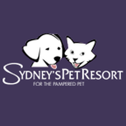grooming wichita ks sydney s pet resort wichita ks united states grooming wichita ks sydney s pet resort wichita ks united states