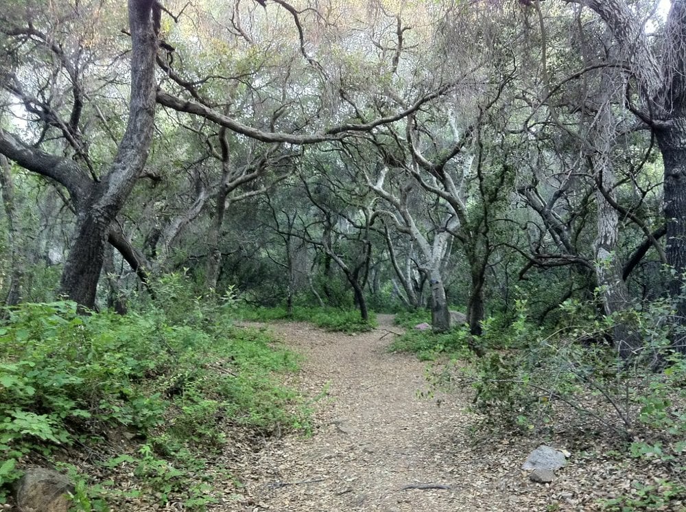 Photos for Crescenta Valley Park Yelp