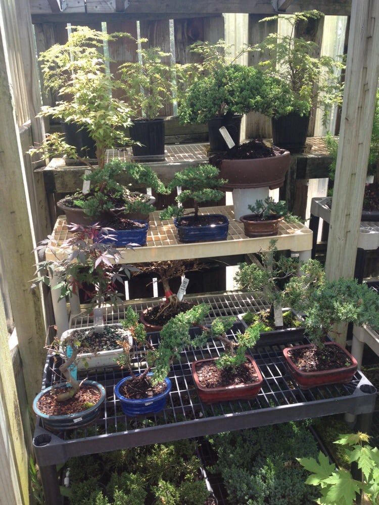 Nurseries Near Detroit Mi at Larry Owen blog