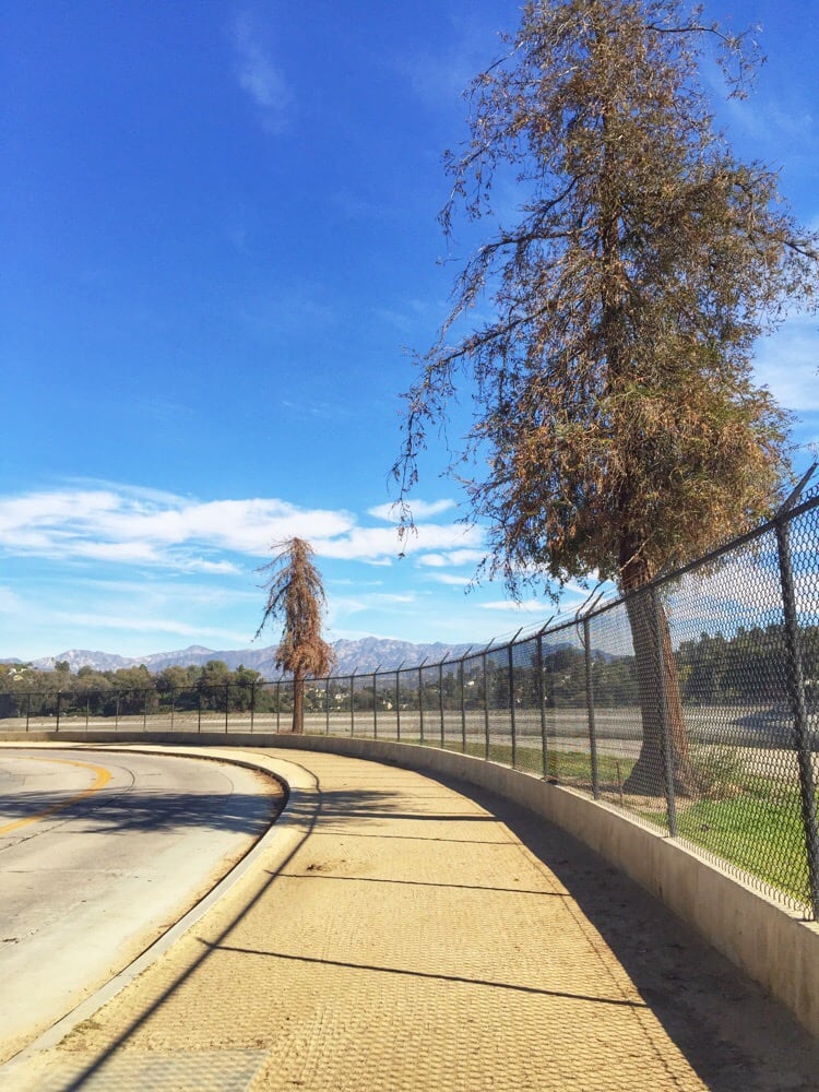 Silver Lake Reservoir Hiking Silver Lake Yelp