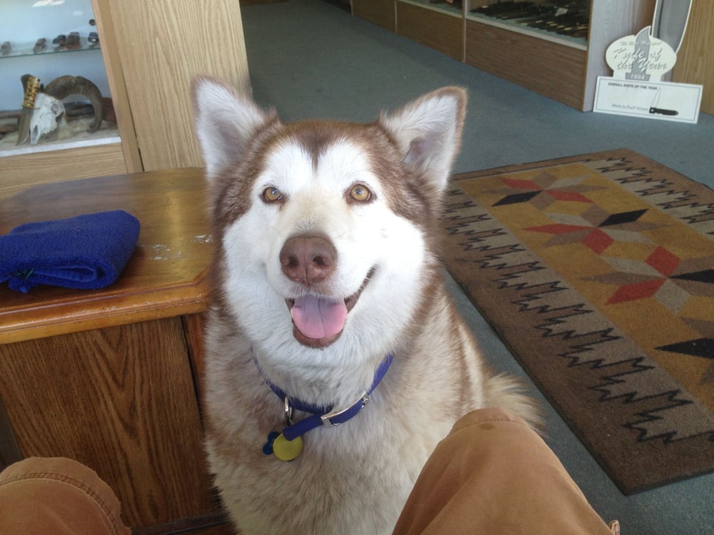 Blade Runner Knives Kitchen & Bath Tucson, AZ Yelp