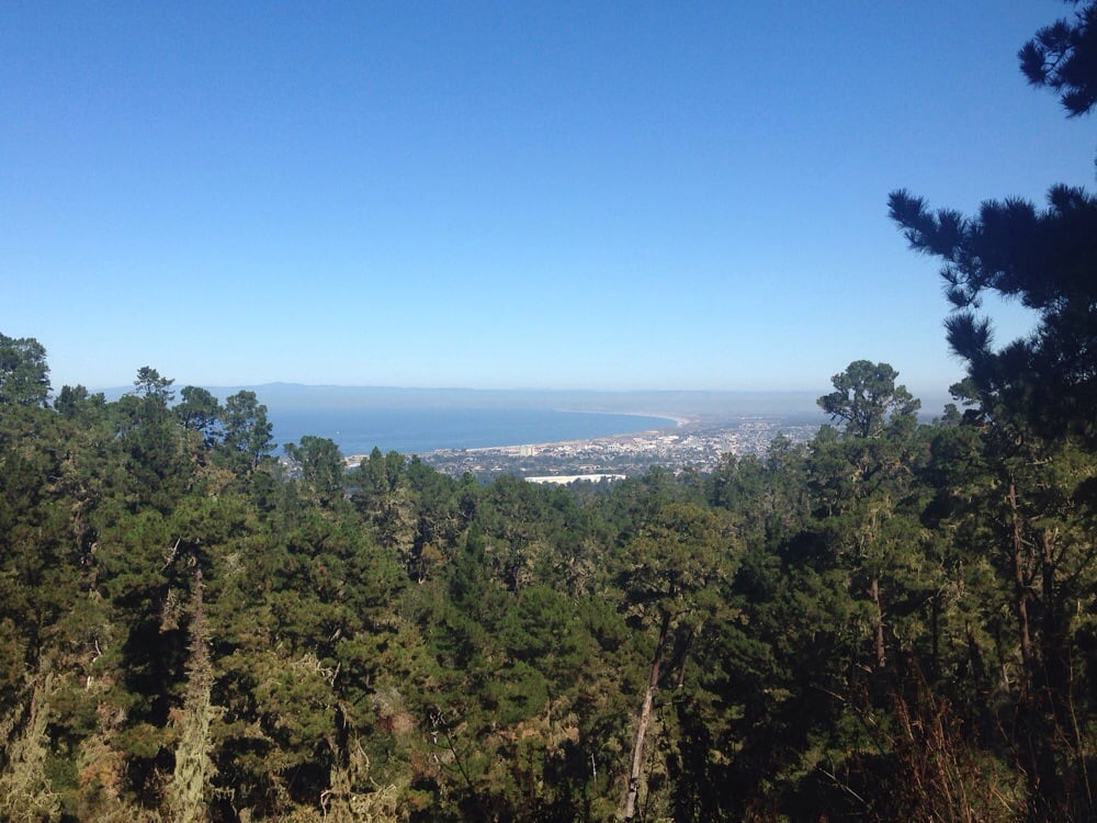 Jacks Peak County Park 55 Photos Parks Monterey, CA Reviews Yelp