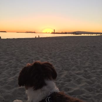 Dog Friendly Parks In Long Beach Ca Dog Friendly Parks In Long Beach Ca