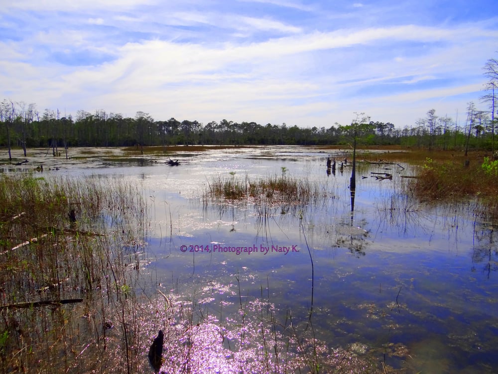 Apoxee Wilderness Trail West Palm Beach, FL Yelp