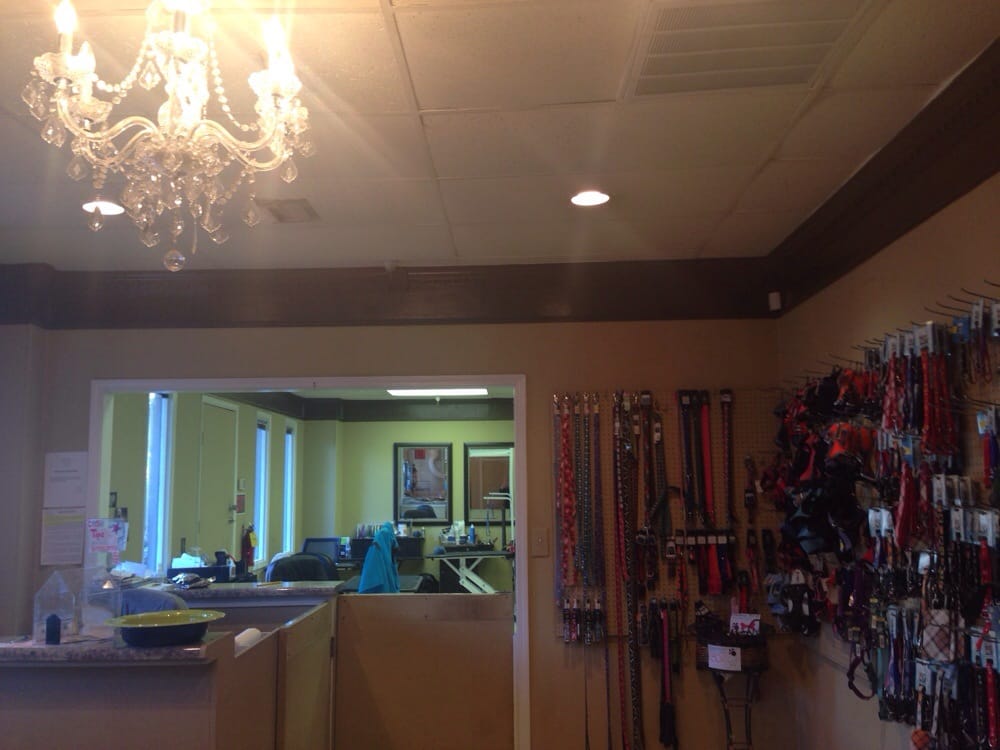 Dee’s Grooming Gallery Pet Groomers Atlanta, GA Yelp