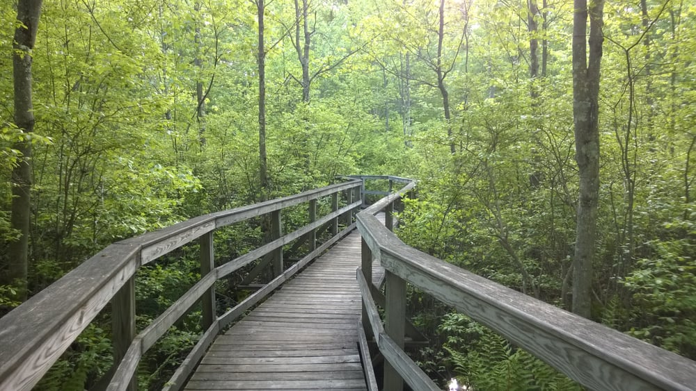 Great Swamp National Wildlife Refuge Landmarks & Historical Buildings
