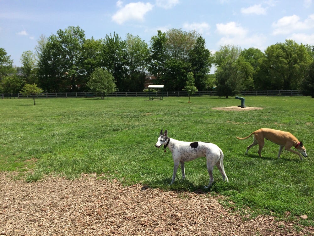 EnglandIdlewild Park and Dog Park Hiking Burlington, KY Yelp