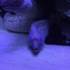 Aquarium Antalya