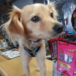 Long Beach Cyclery logo