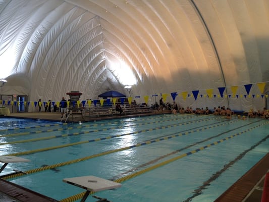 swim and racquet club