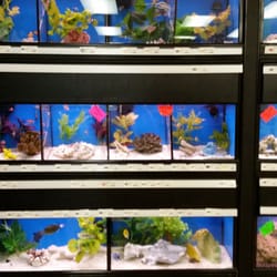 jack s pets pet stores cincinnati oh yelp jack s pets pet stores cincinnati oh yelp