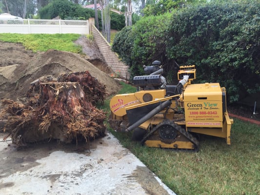 Greenview Landscape Tree Service In Escondido Ca Emazeme