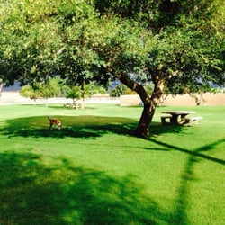 Mulligan Dog Park logo