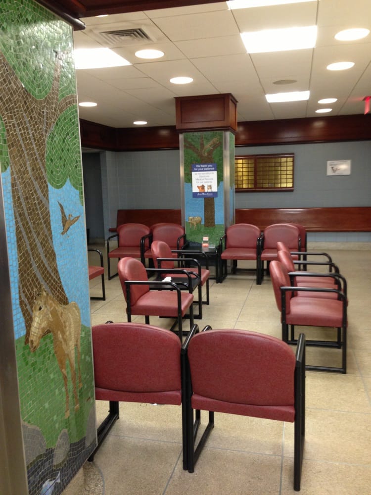 The Animal Medical Center Veterinarians Upper East Side New York, NY Reviews Photos Yelp