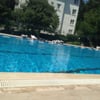 Boğaziçi Üniversitesi Bebek Havuzu