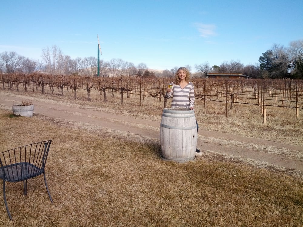 Granite Creek Vineyards Wineries 2515 N Rd 1 E Chino Valley, AZ