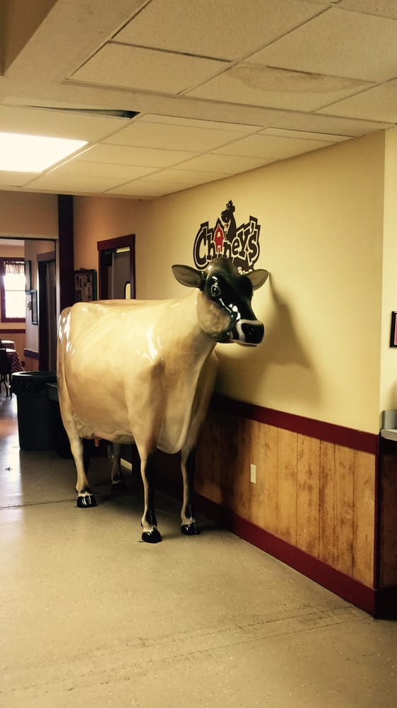 Chaney’s Dairy Barn 26 Photos Ice Cream & Frozen Yogurt Bowling