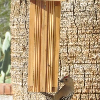 wild bird store 12 photos pet shops cabrini tucson wild bird store 12 photos pet shops cabrini tucson