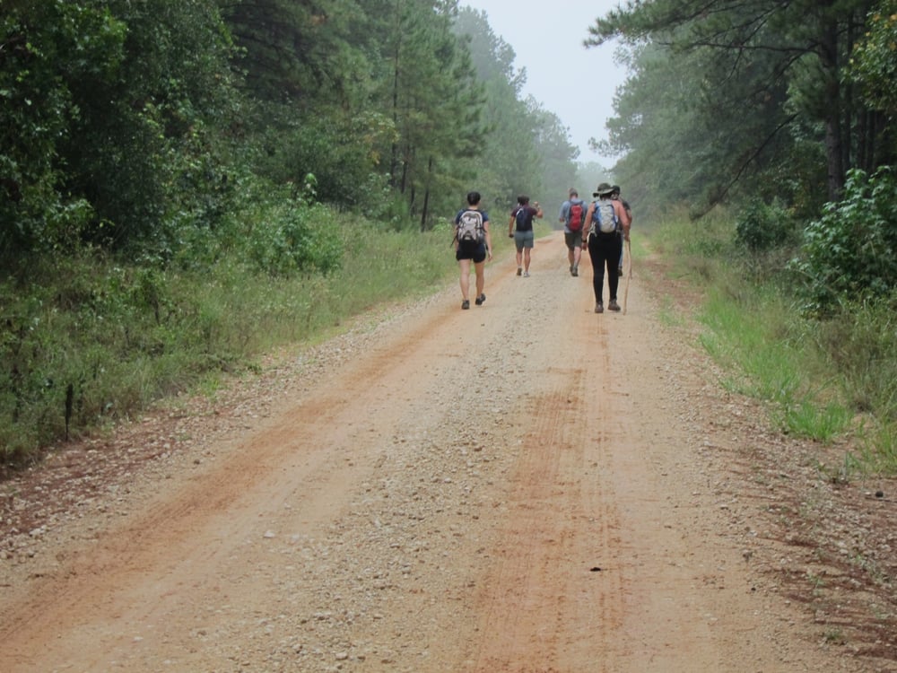 Sam Houston National Forest Parks New Waverly, TX Reviews