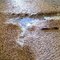 San Diego Carpet Repair & Cleaning