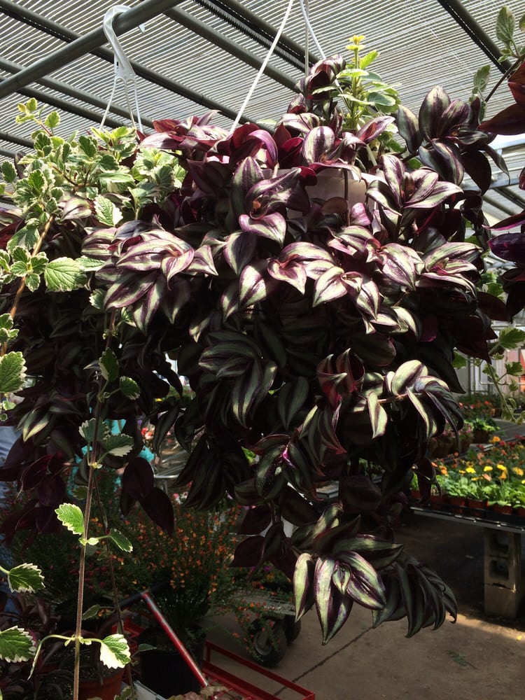 Gasko’s Family Farms Nurseries & Gardening 112 Federal Rd Monroe