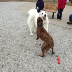 Stoll Off Leash Dog Park Overland Park Ks Stoll Off Leash Dog Park Overland Park Ks
