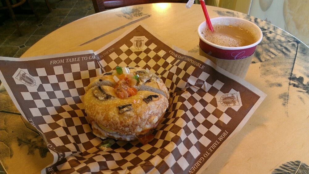 the bagel tree cafe bagels roseburg or united states the bagel tree cafe bagels roseburg or united states