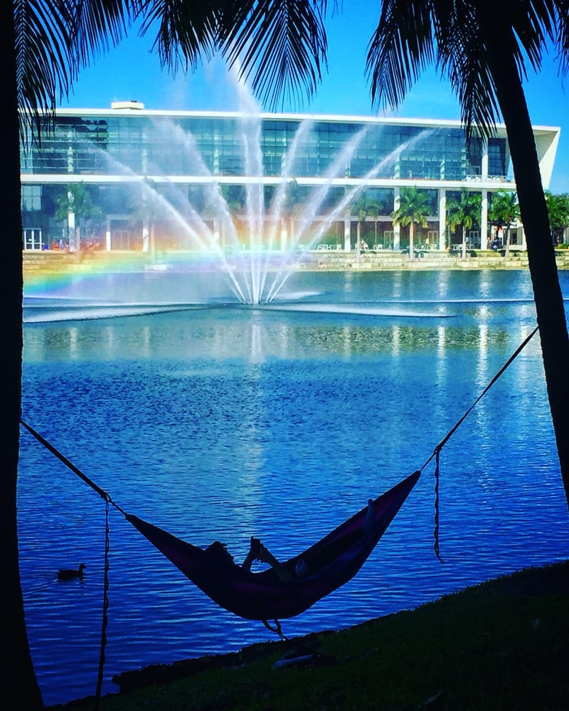 University of Miami 48 Photos Colleges & Universities Coral
