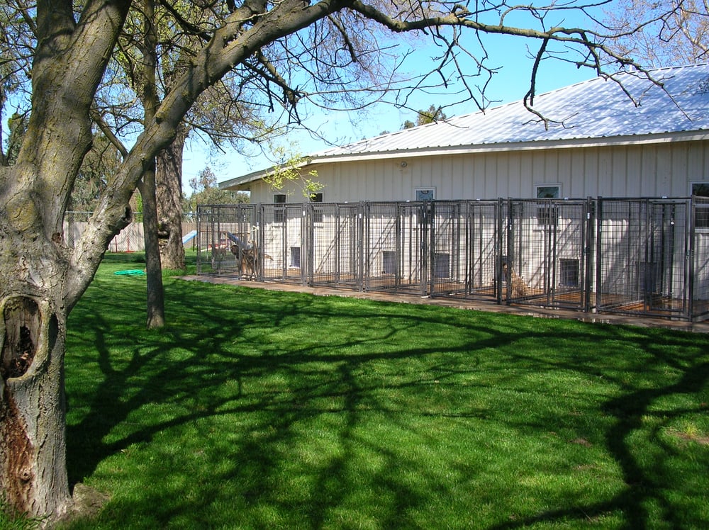 Sunset Kennels Garden Retreat Lodi, CA Yelp