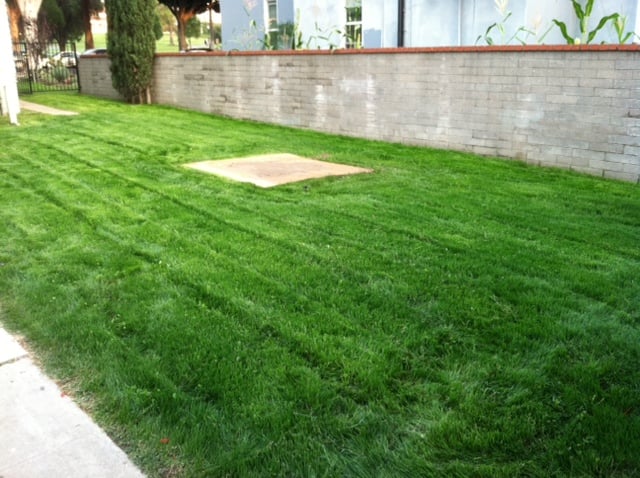 bill s hydroseed landscaping 20153 rockwell rd bill s hydroseed landscaping 20153 rockwell rd