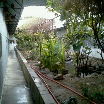 bracken bird farm pet stores redlands ca united bracken bird farm pet stores redlands ca united