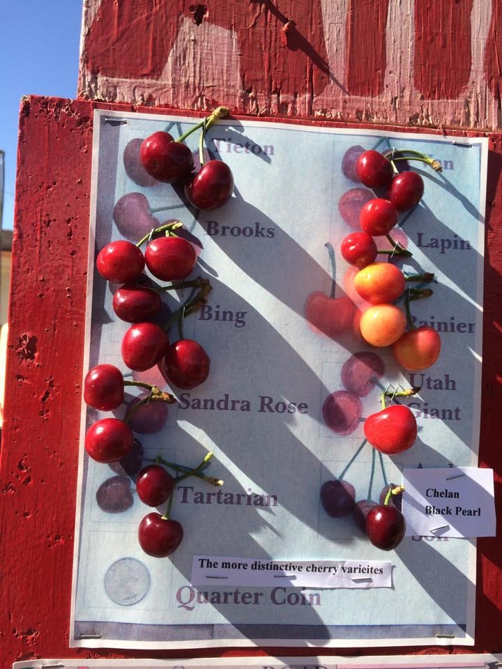 Amber’s UPick Cherry Farm Fruits & Veggies Leona Valley, CA Yelp