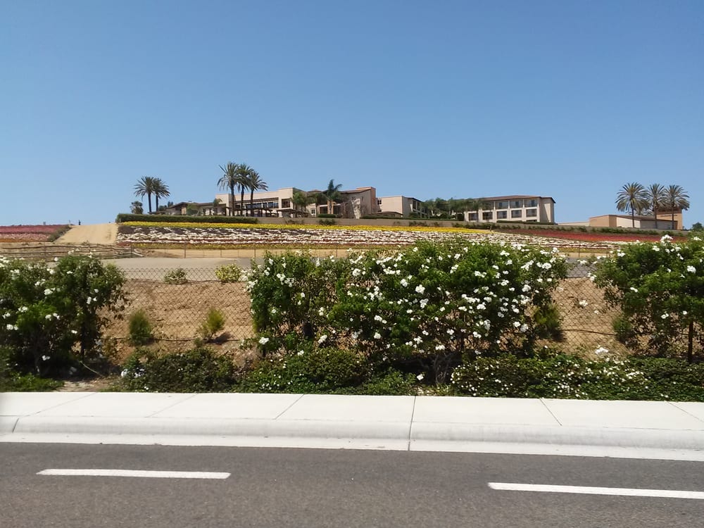 Grand Pacific Palisades Hotels Carlsbad Carlsbad, CA Reviews