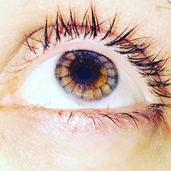 Eye Associates Of Lancaster Ltd Optometrists 1254 Lititz Pike Photo Of Eye Associates Lancaster Ltd Pa United States