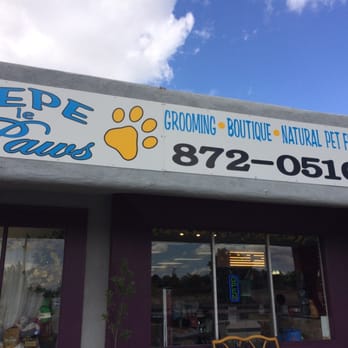 pepe le paws 65 photos pet shops uptown pepe le paws 65 photos pet shops uptown
