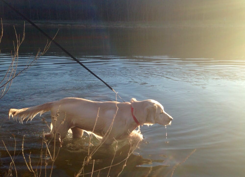 Oak Point Park and Nature Preserve 57 Photos Parks 5901 Los Rios