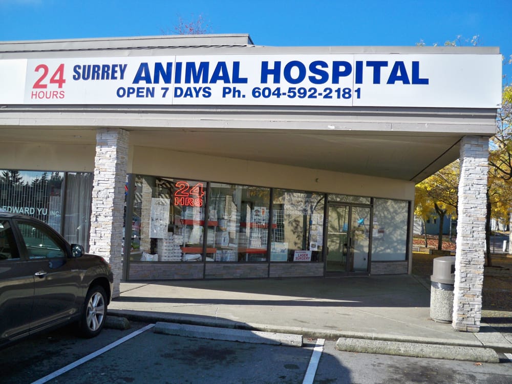 Surrey Animal Hospital Veterinarians Surrey, BC Reviews Photos