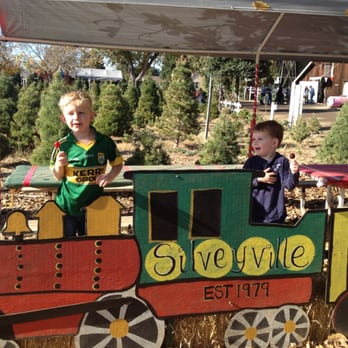 silveyville christmas tree farm 83 photos 35 reviews silveyville christmas tree farm 83 photos 35 reviews