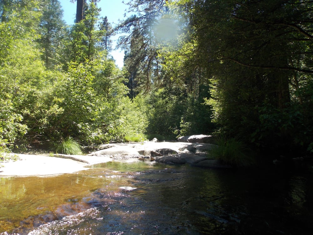 Calaveras Big Trees State Park 232 Photos Parks Arnold, CA