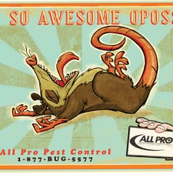 All Pro Pest Control