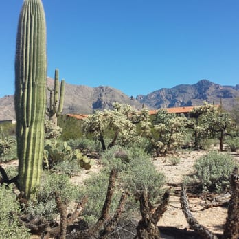 Tohono Chul Park Tea Room Hours Tohono Chul Park Tea Room Hours