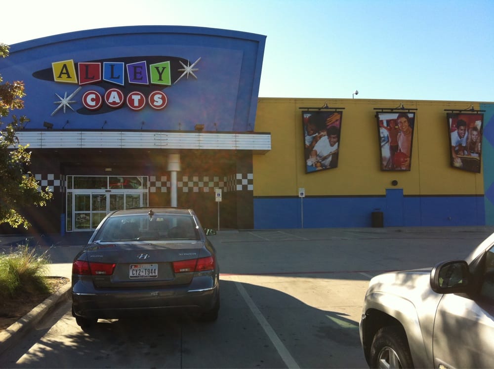 Alley cats coupons arlington