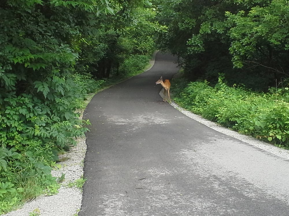 Swan Creek Metropark Toledo, OH Yelp