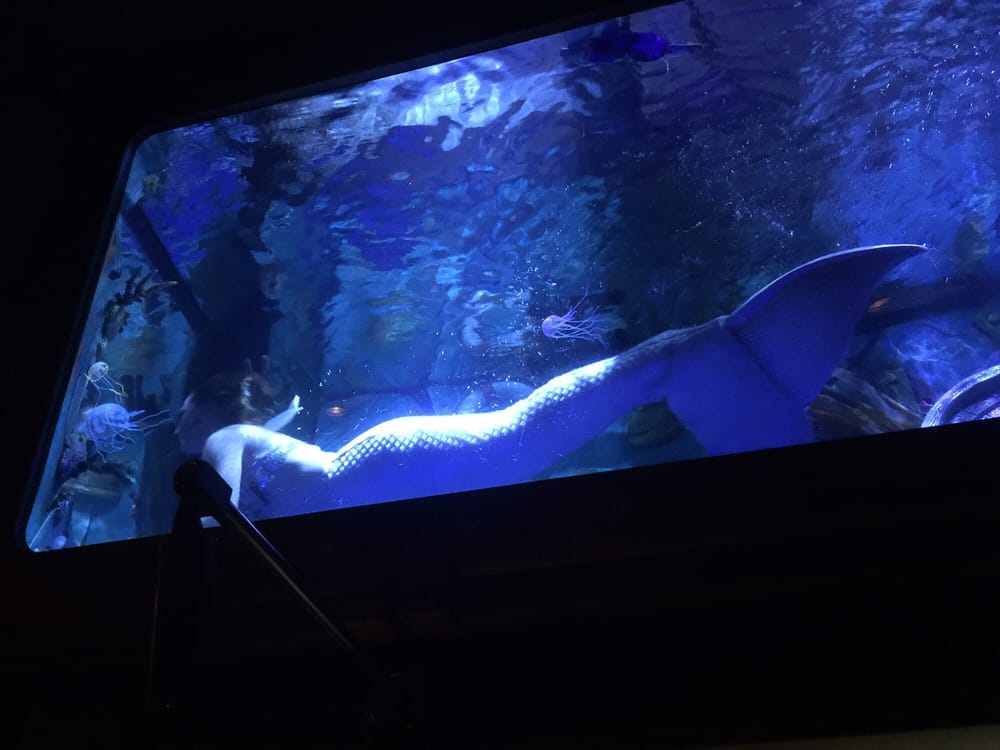 Dive Bar 257 Photos Dive Bars Downtown Sacramento, CA Reviews