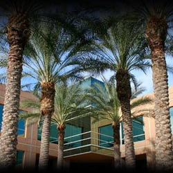 Responsive Property Management